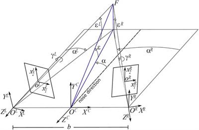 Learning bio-inspired head-centric representations of 3D shapes in an active fixation setting